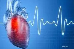   با سکته‌های قلبی و مغزی حدود 100 مرگ زودرس روزانه در تهران رخ میدهد