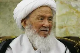 
 کرونا | تست کرونای آیت‌الله‌ فیاض مثبت اعلام شد
