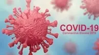 ویروس کرونا ارتباط مستقیمی با دما ندارد 