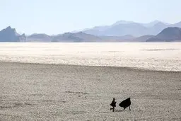 گَرد مرگ روی تالاب‌های فارس | افزایش بیماری‌های صعب‌العلاج و رشد آمار سرطان‌ها
