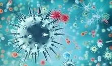 آنفلوآنزا در ۲ شهر بالاتر از سطح هشدار