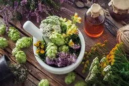 قوی ترین گیاهان خواب آور را بشناسید | اگر مشکل خواب دارید از این گیاهان غافل نشوید