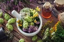 قوی ترین گیاهان خواب آور را بشناسید | اگر مشکل خواب دارید از این گیاهان غافل نشوید