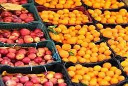 قیمت میوه شب عید| پرتقال ۱۱ هزار و ۸۰۰ تومان سیب ۸۹۰۰ تومان| ذخیره 40 هزار تن میوه برای شب عید
