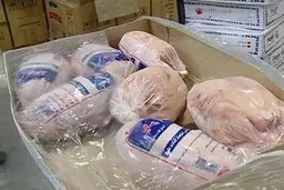 
خروج مرغ با تاکسی های خطی زرد در خراسان شمالی 

