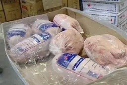 
خروج مرغ با تاکسی های خطی زرد در خراسان شمالی 
