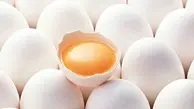 صادرات تخم‌مرغ متوقف شد؟| هر یک کیلوگرم تخم مرغ چند؟