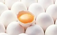 تخم مرغ گران می شود؟ | بحران تخم مرغ در راه است!

