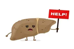 انواع کبد چرب کدامند و هر کدام چه تفاوتی با هم دارند؟ 