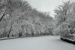 جنگل یخ‌زده فندقلو اردبیل | تجربه‌ای شگفت‌انگیز از زیبایی‌های طبیعت در سرمای زمستان +ویدئو