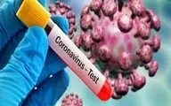 جدیدترین یافته‌های علمی و پزشکی پیرامون ویروس کرونا