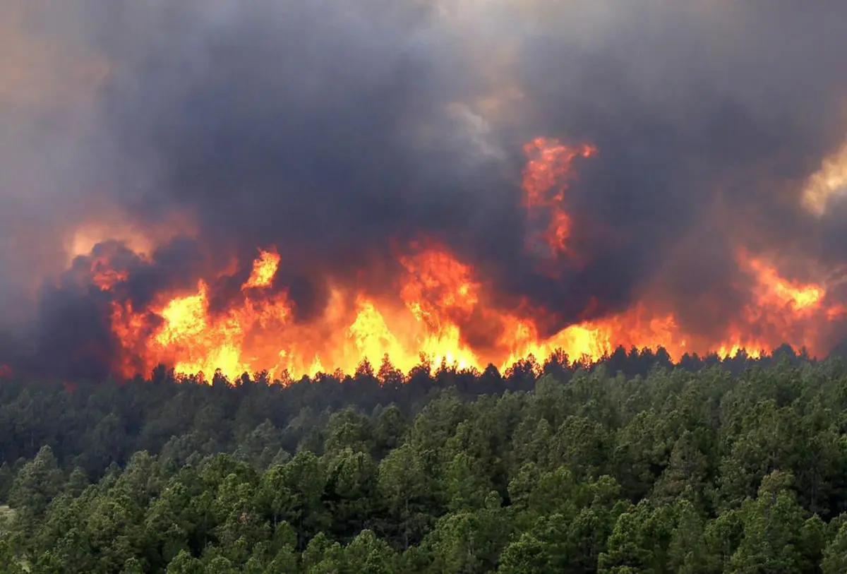 ازشروع سال تا به امروز ۳۰ فقره آتش‌سوزی در جنگل‌های شمال
