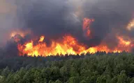 ازشروع سال تا به امروز ۳۰ فقره آتش‌سوزی در جنگل‌های شمال
