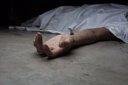 پسر ۱۲ ساله ای در سعادت‌آباد تهران، در برابر دوربین روشن، با کلت کمری خودکشی کرد