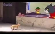وحشت عجیب و خنده دار یک بچه گربه از تماشای کارتون تام و جری!+ویدئو