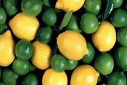 فروش لیموترش و لیموشیرین بالاتر از ٢٠ هزارتومان ممنوع است