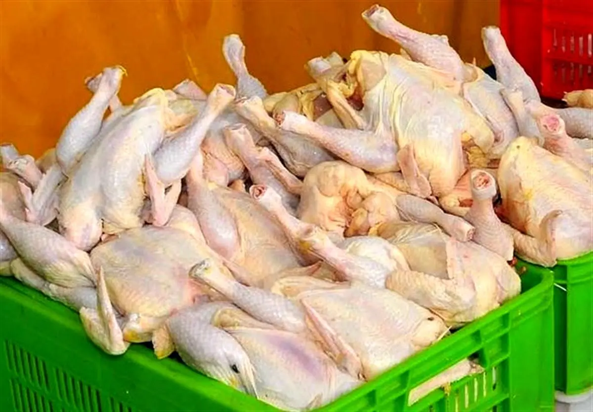ایران سال آینده باید مرغ وارد کند