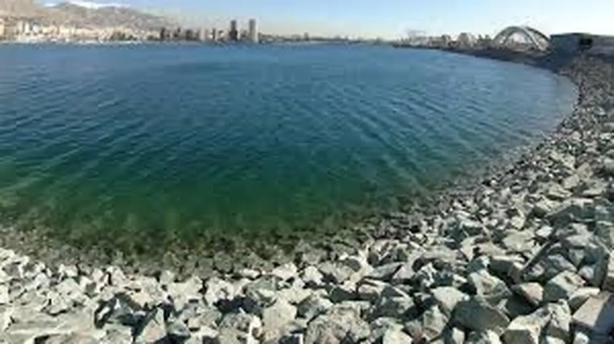 تمساح  | عمق دریاچه چیتگر اسکن خواهدشد