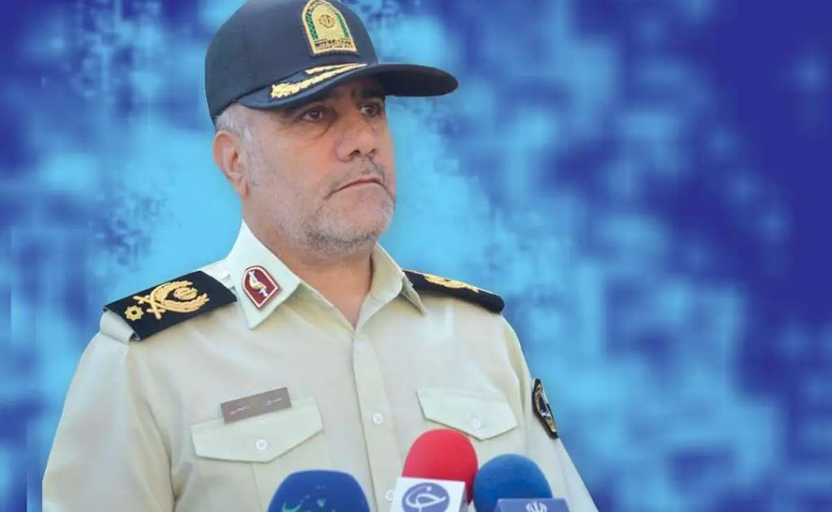 پلیس: تبلیغات و فعالیت بادیگاردها در فضای مجازی غیرقانونی است
