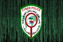 پلیس فتا درباره افزایش کلاهبرداری پیامکی در ایام تعطیلات هشدار داد!