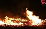 تالاب انزلی آتش گرفت