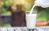 پافشاری دامداران بر افزایش قیمت شیر