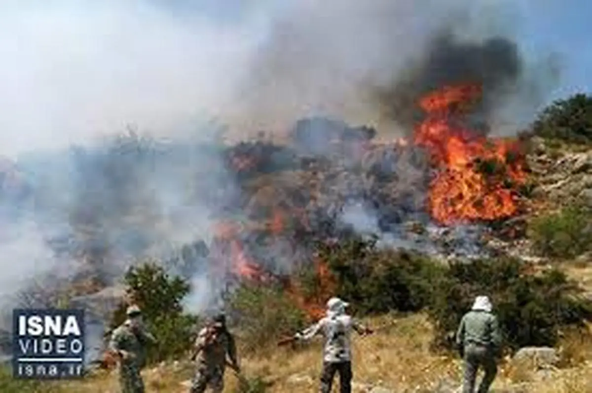 پایان آتش سوزی در جنگل های مازندران