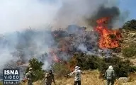 پایان آتش سوزی در جنگل های مازندران