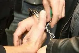 سرقت در پوشش سمپاشی منازل!