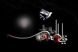 ویدئویی دیده نشده از داخل بیت حضرت فاطمه زهرا(س) | واکنش متفاوت کاربران