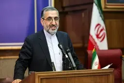 توضیح سخنگوی قوه قضاییه درباره بازداشت یک فرد ایرانی آمریکایی: این فرد اتهاماتی در حوزه جاسوسی داشت 