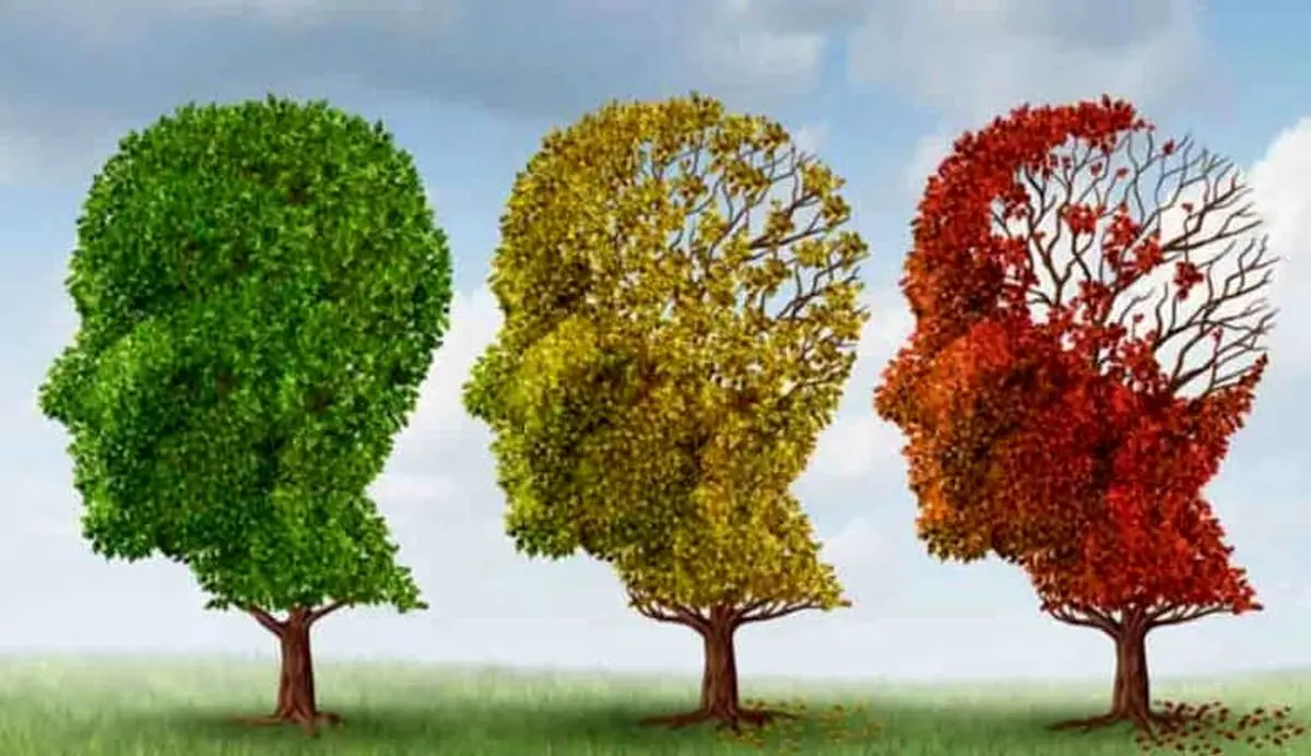 پیشگری از سکته و آلزایمر با مصرف این خوراکی معجزه‌گر