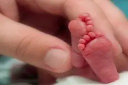 لحظه ی غم انگیز پیدا شدن نوزاد در سطل زباله ای در تهران | ویدیوی غم انگیز از گریه های نوزاد + ویدئوی دلخراش