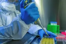  محافظت واکسن کرونای شرکت جانسون اند جانسون از میمون‌ها 