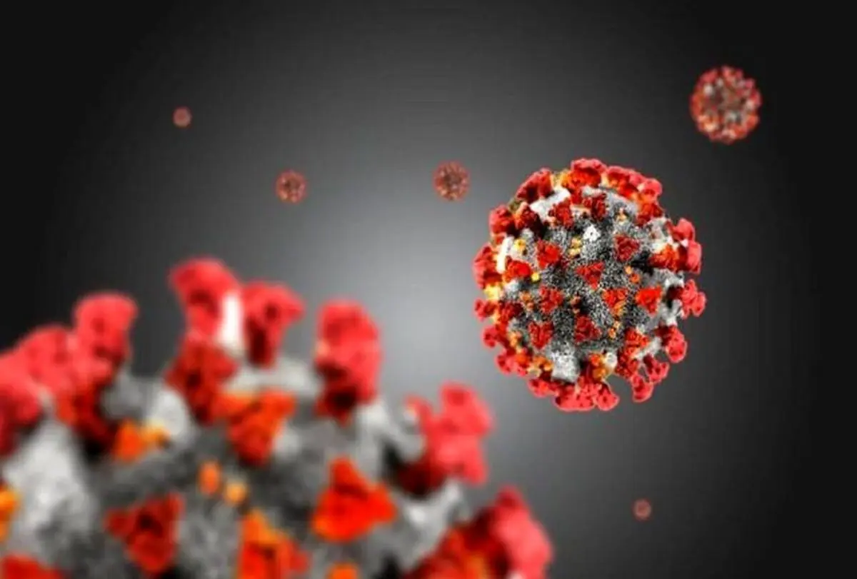 بومی‌سازی ویروس مهندسی سُرخک برای درمان سرطان|تدوین برنامه مشترک برای فاز انسانی