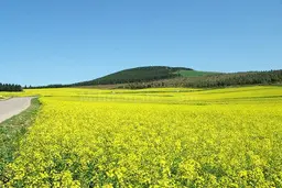 بهشت گمشده بابلسر٬ بهنمیر را بشناسید | معرفی آثار و ابنیه تاریخی بهنمیر | رفتی بابلسر حتما بهنمیر برو