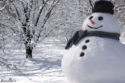 شنبه در تهران برف و باران داریم ‌