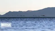 حال خوش دریاچه ارومیه ادامه دارد