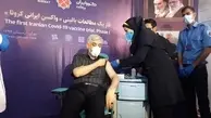 واکسن ایرانی برکت، ویروس جهش یافته کرونا را خنثی می‌کند