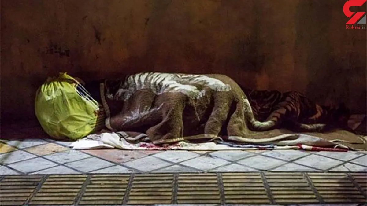 سرگذشت تکان دهنده زن کارتن خواب! 