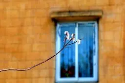 نوبهار است در آن کوش که خوشدل باشی