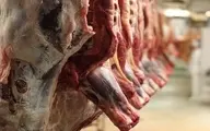 صادرات دام زنده عامل گرانی گوشت قرمز | آیا سرپرست وزارت جهادکشاورزی مشکل گوشت را حل می کند؟