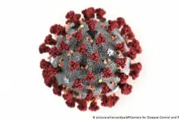 چرا برخی کرونا را دروغ می نامند؟