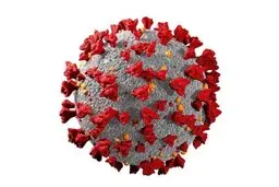 
آمار چشمگیر مرگ و میر ناشی از کووید-۱۹ در افراد مبتلا به HIV
