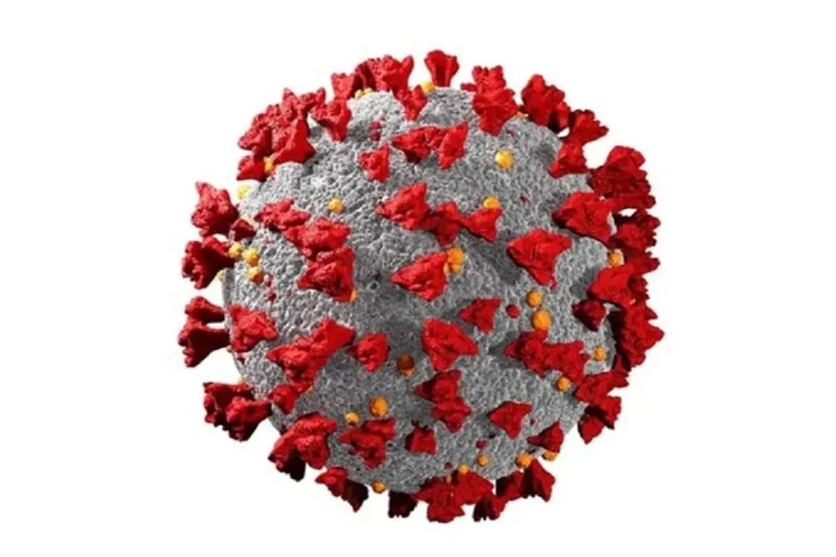 
آمار چشمگیر مرگ و میر ناشی از کووید-۱۹ در افراد مبتلا به HIV
