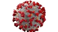 
آمار چشمگیر مرگ و میر ناشی از کووید-۱۹ در افراد مبتلا به HIV
