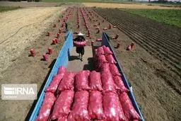 
کامیون سیب‌ زمینی به مرز عراق ارسال نکنید
