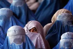 طالبان : زنی که حجاب را رعایت نکند، خود را شبیه حیوانات می سازد +تصویر