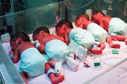  خبر خوش برای خانواده‌های دارای فرزند سه قلو