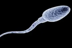 آقایان این پنج کار را برای سلامت اسپرم انجام ندهید